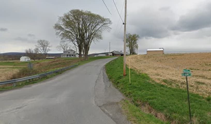 D and J Kennels