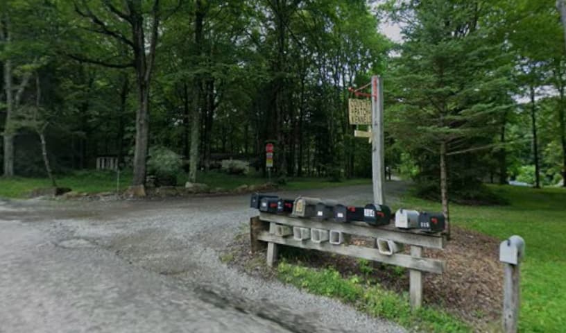 Country Patch Kennels