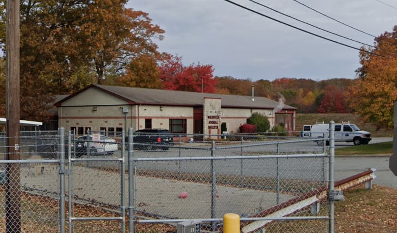 Warwick Animal Shelter