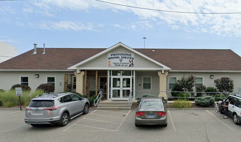 The Providence Animal Control Division