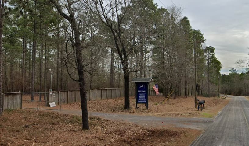 Dog Years Training and Boarding Center