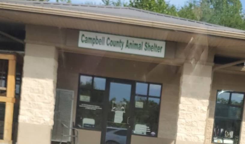 Campbell County Animal Shelter