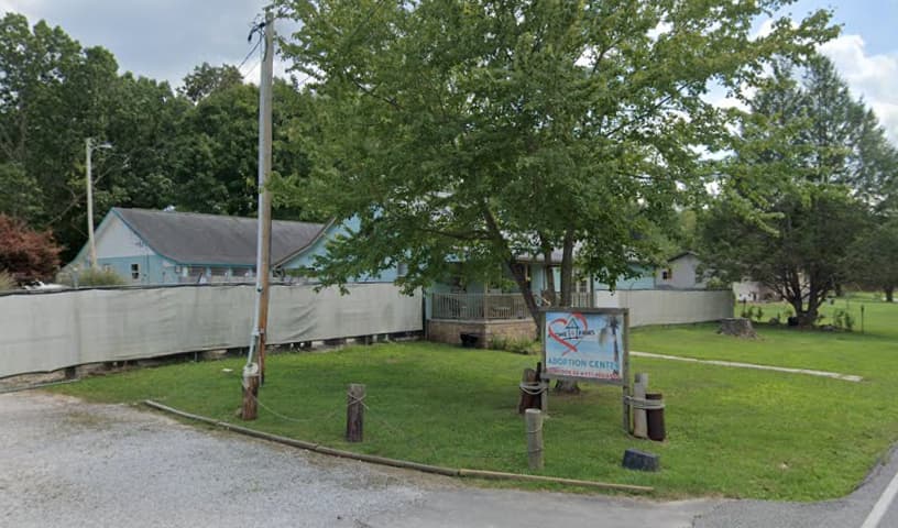 A Time 4 Paws Animal Adoption Center