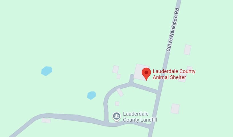 Lauderdale County Animal Shelter