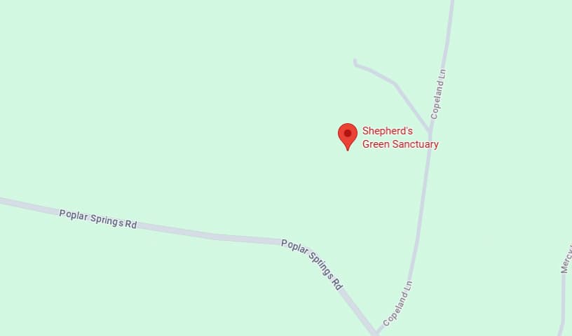 Shepherd's Green Sanctuary