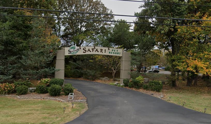 Safari Pet Resort