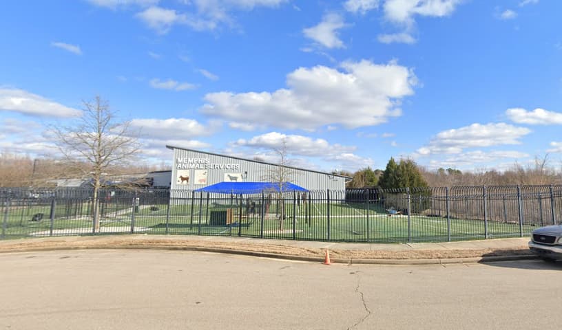 Memphis Animal Services