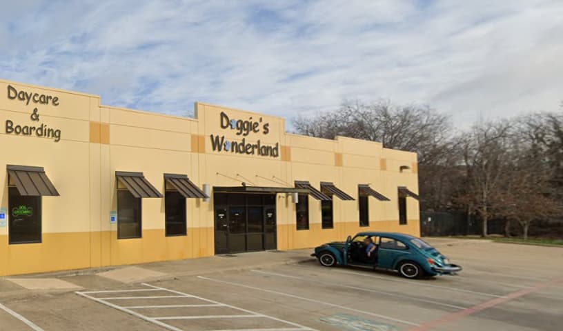 Doggie's Wonderland