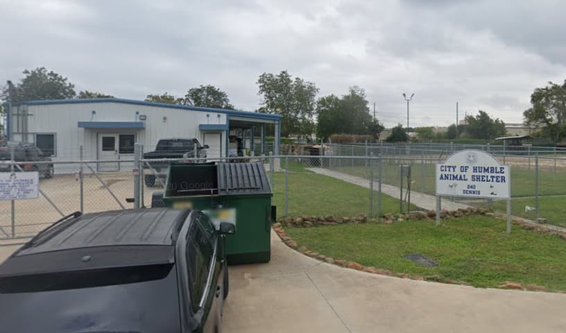 City of Humble Animal Control