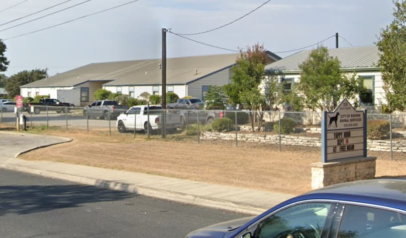 Boerne City Animal Care Services