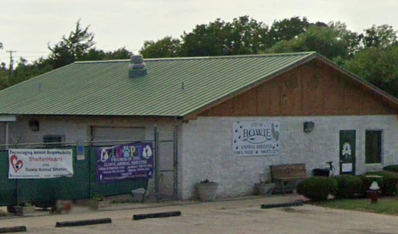 Bowie Animal Shelter