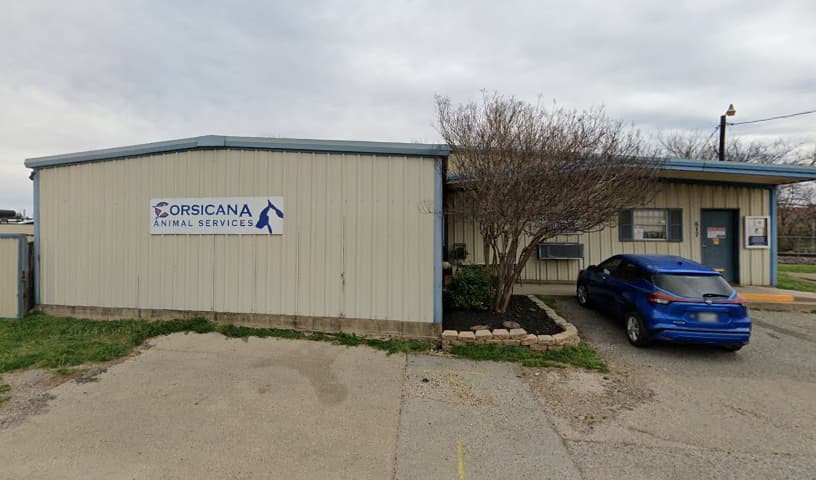 Corsicana Animal Control