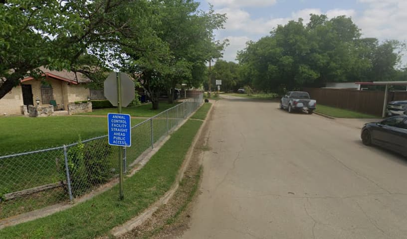 Municipal Animal Services