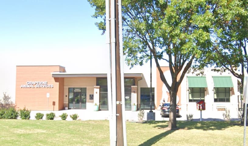 Grapevine Animal Services