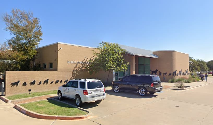 Arlington Animal Services