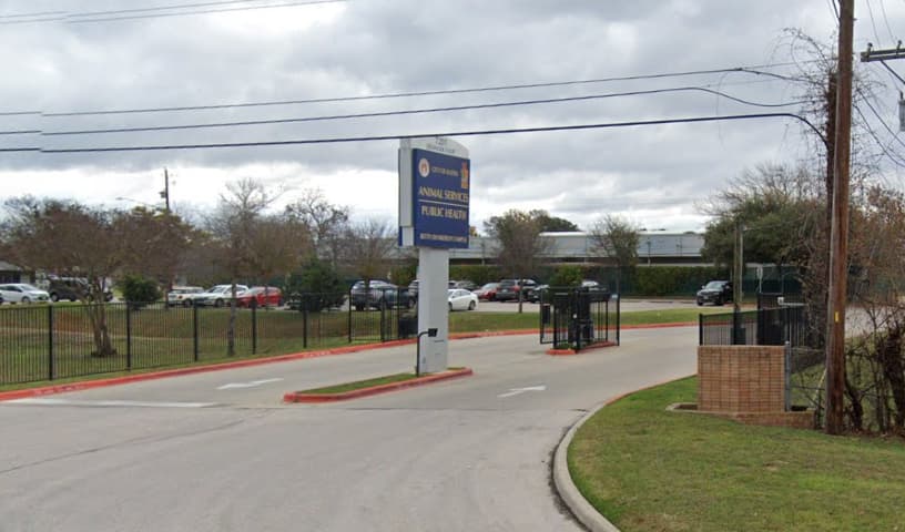 Austin Animal Shelter