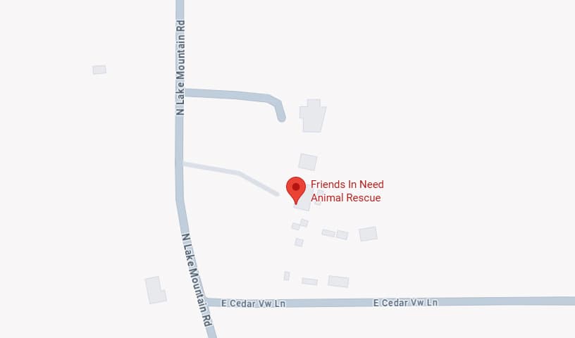 Friends-In-Need Rescue