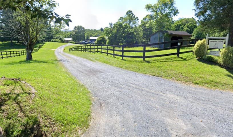 Equine Rescue League