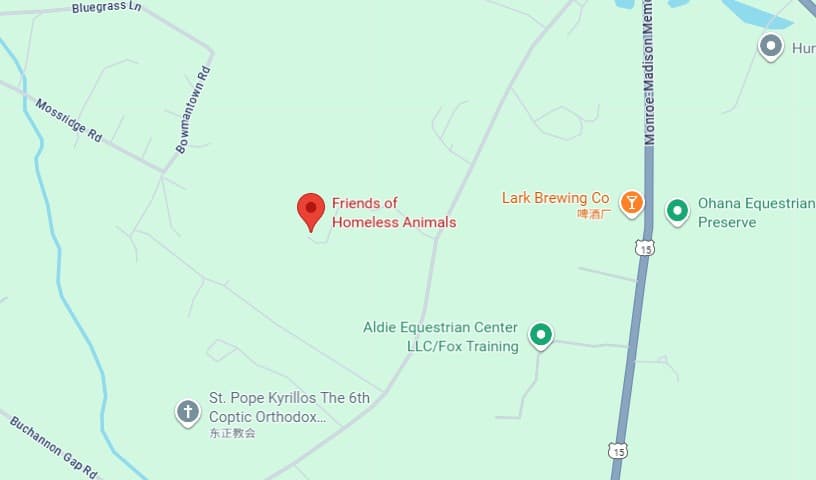 Friends Of Homeless Animals