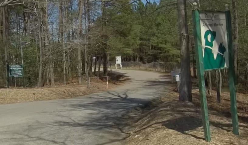 New Kent County Animal Control