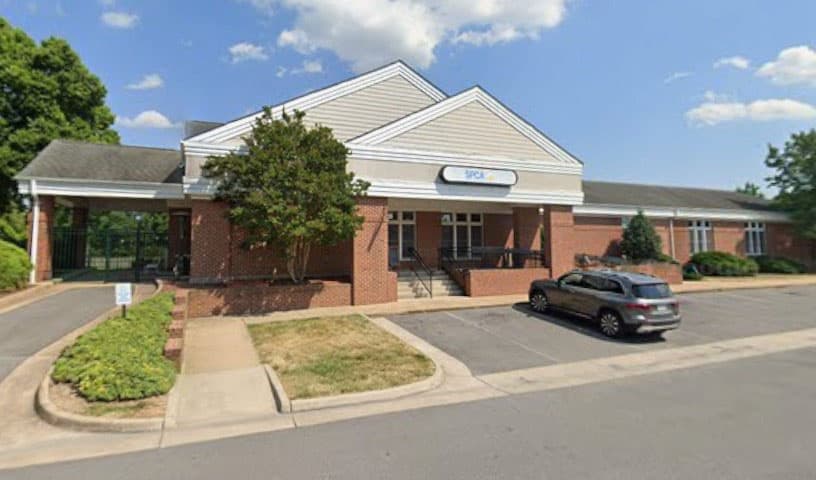 Winchester Area SPCA