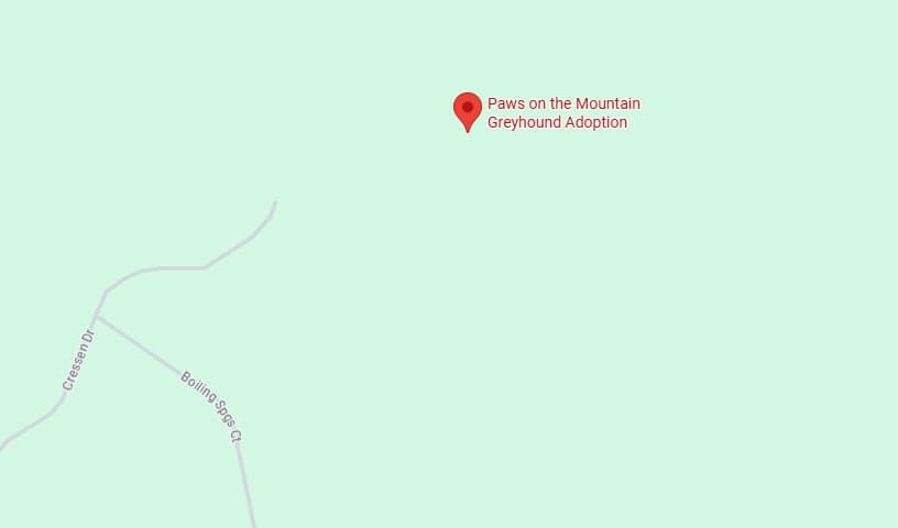 Paws on the Mountain Greyhound Adoption