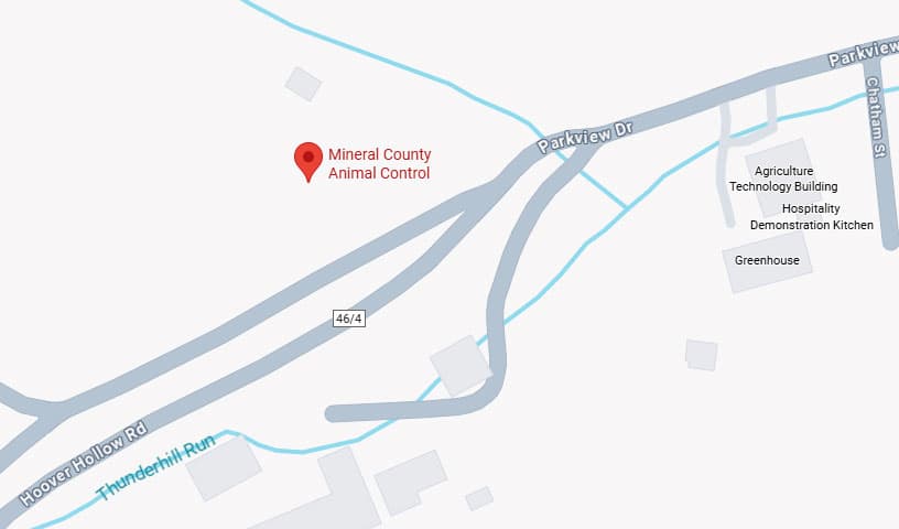 Mineral County Animal Control